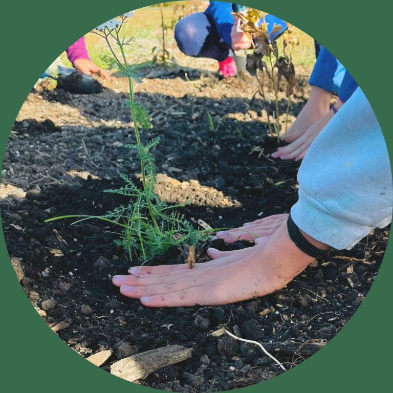 AWES Agroforestry And Woodlot Extension Society Of Alberta