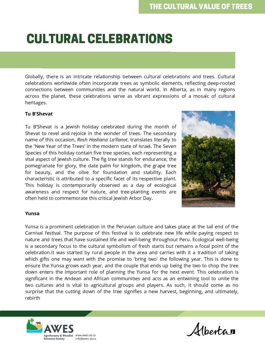 Cultural Value of Trees Celebrations